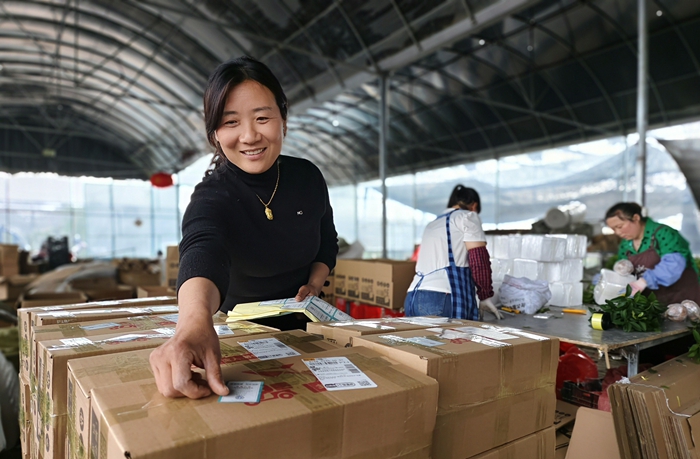 新河鎮堰頭村月季花基地花木電商為每份快遞貼上誠信標簽。丁華明攝