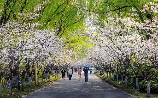 “道”处是风景 江天博tb综合体育苏累计建成绿道超9000公里(图16)