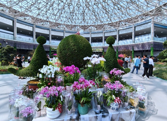 中國花谷2024金秋花木交易會現場。丁華明攝