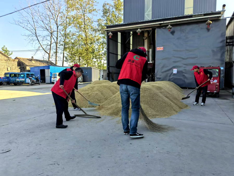 志願者在烘干中心幫助裝卸稻谷。孫靜攝