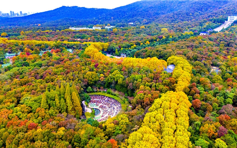 初冬南京钟山风景区美如仙境