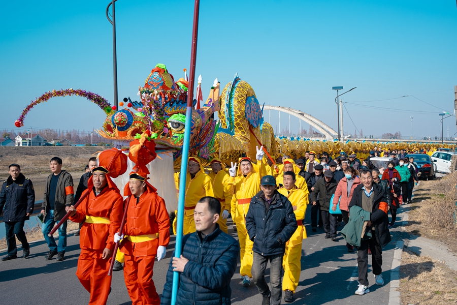 阳江板龙共68节，长达122米，需要上百人操作。陈春花摄