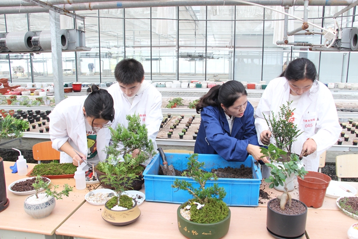 溧水特校基地內，老師指導學生養護盆栽。校方供圖