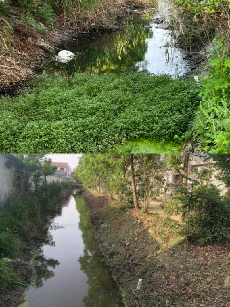 河道整治前后对比图