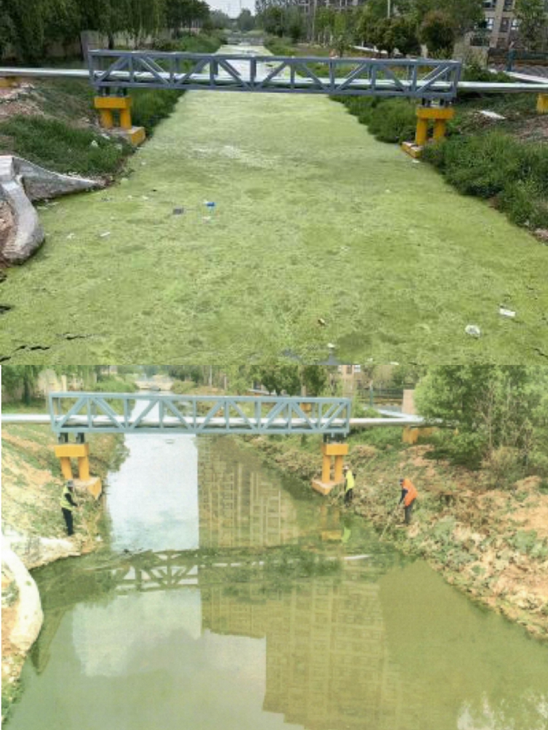 河道整治前后对比图