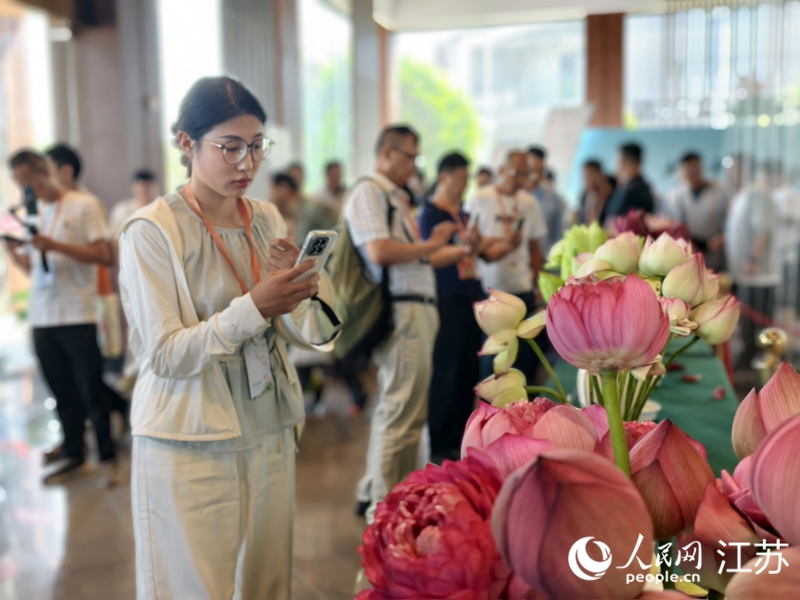 大美中国・荷韵金湖第39届荷花展启幕。人民网记者 马晓波摄