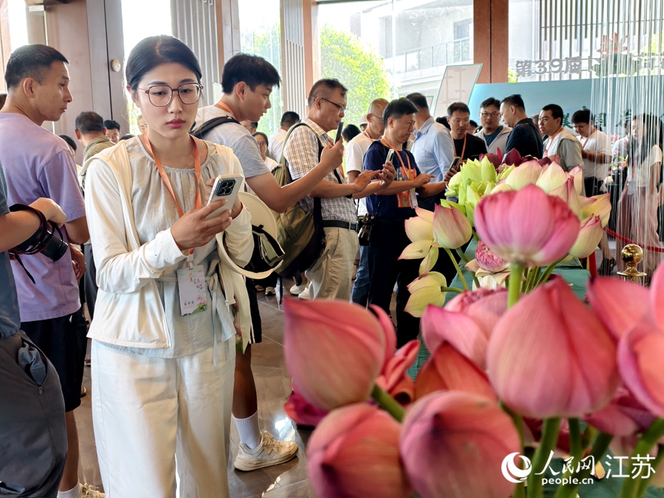 市民游客参观荷花展。人民网记者 马晓波摄