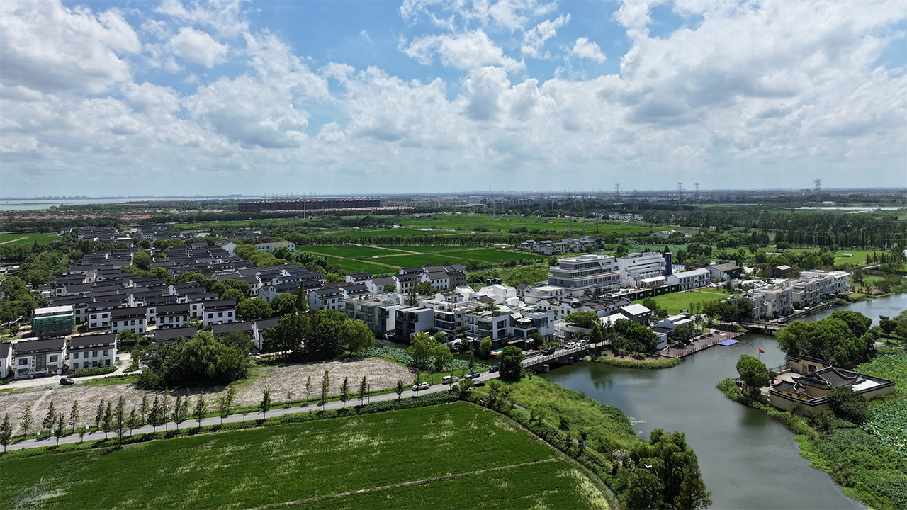 苏州昆山市张浦镇尚明甸村。人民网 范尧摄