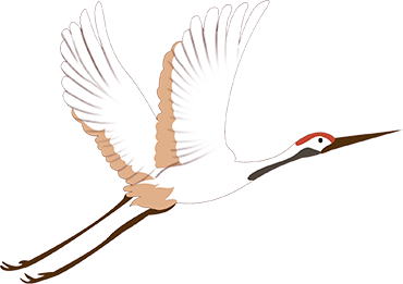 bird1
