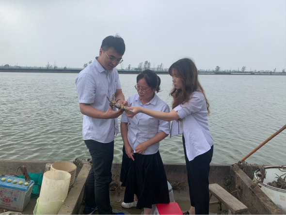 高淳烟草客户经理走访蟹塘。高淳烟草供图