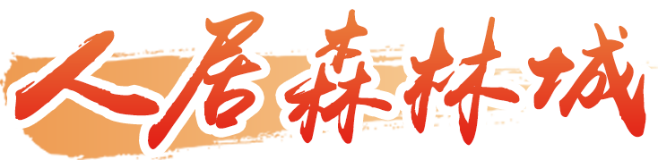 人居森林城