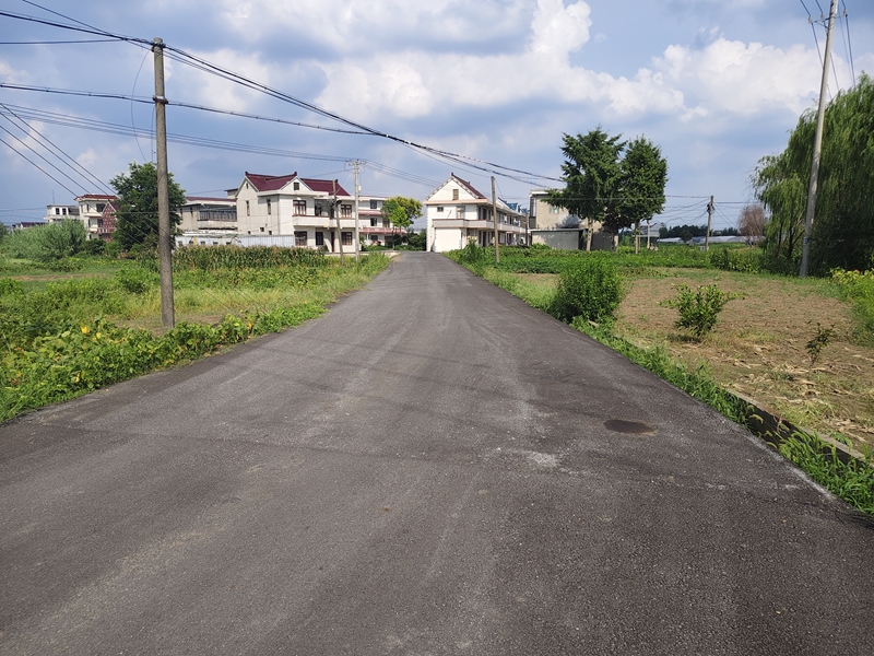 坨墩村新修的瀝青路。