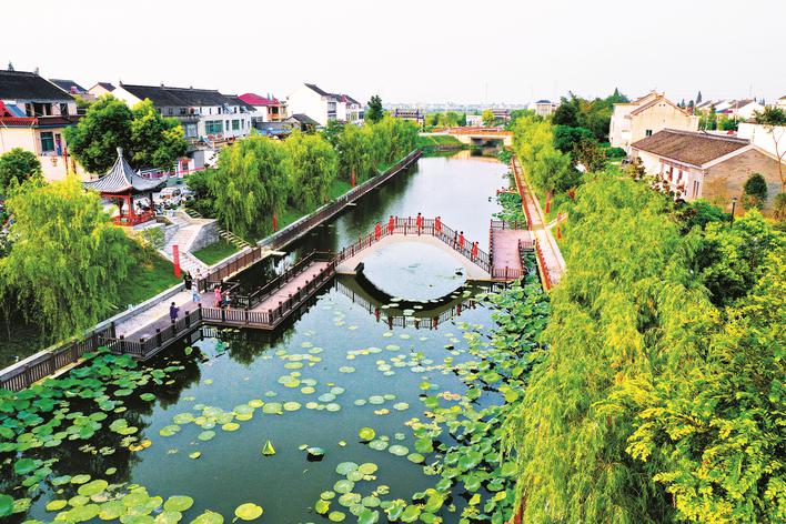 “幸福河湖”泰兴市黄桥镇祁巷村大寨河。邱骏 供图