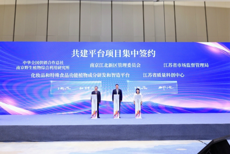 项目签约现场。主办方供图