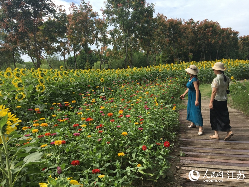 市民在南通五山国家森林公园赏花。人民网记者 俞杨摄