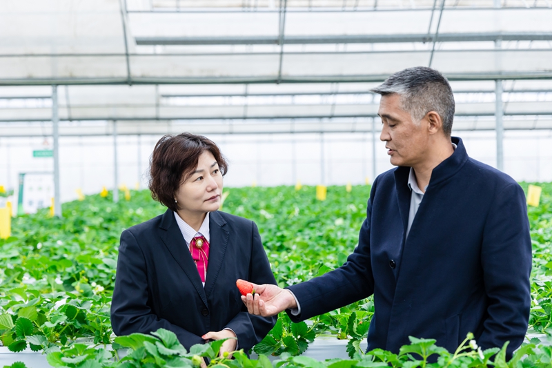 江南农商行走访当地农户。江南农商行供图