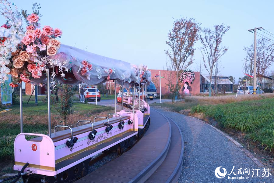 洪澤湖東岸特色田園鄉村張庄村。人民網 崔小倩攝