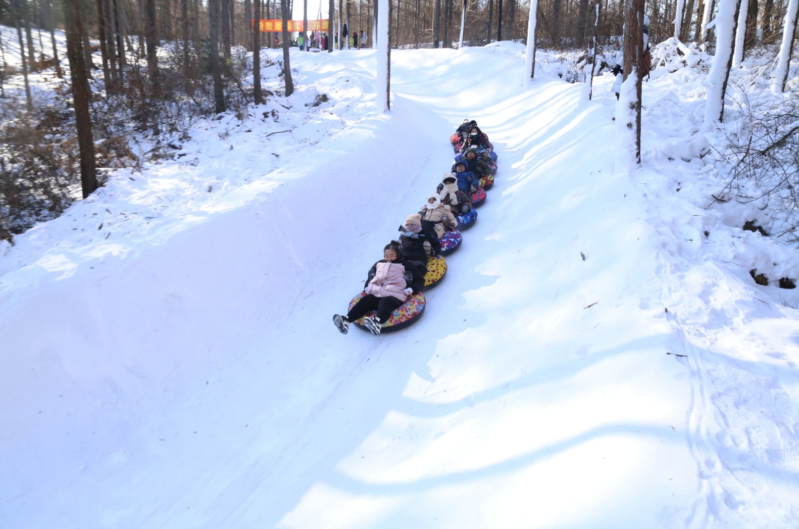 抚顺2000米长的“雪地贪吃蛇”林间雪圈道上,尖叫声不断。