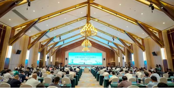 2025年5月，金湖石油机械产业投资说明会现场。金轩摄
