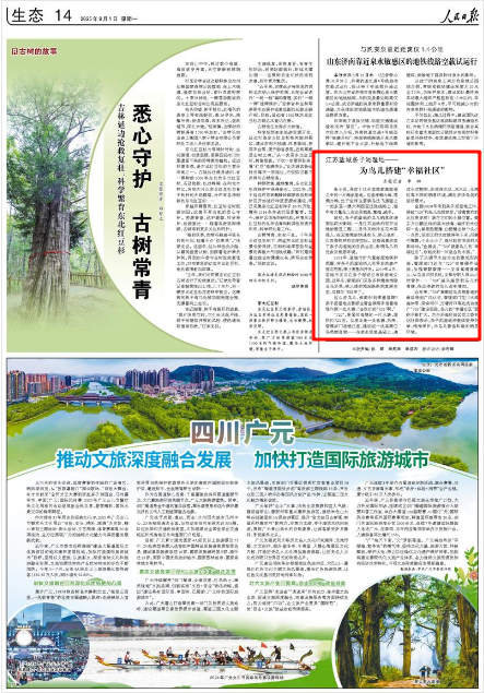 2025-09-01                            盐城条子泥湿地为鸟儿搭建“幸福社区”                条子泥，是位于江苏盐城黄海湿地之中的一片滩涂湿地。这里涨潮为海、落潮为滩，处于全球主要候鸟迁飞通道之一的东亚—澳大利西亚迁徙线路上，每年有大量鸟儿在这里栖息、繁殖、越冬。曾经，条子泥湿地的鸟儿栖息环境面临两大影响：一是江苏启动的百万亩滩涂围垦工程；二是外来物种互花米草侵入，在近海滩涂快速生长，挤占鱼虾、贝类等物种的生存空间。这些因素改变了条子泥湿地的自然生态，影响鸟儿的觅食及栖息环境。                    【详细】                 《 人民日报 》（ 2025年09月01日 14 版）