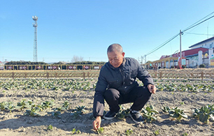 甜豆豆 “金豆豆”2024年8月，豌豆研学馆和乡情学堂建成开放，小半年接待了上千人来团建、研学和乡村游。得益于多年积累的资产性收益和农文旅新项目，滕兴村2024年集体经营性收入达到130.6万元。【详细】