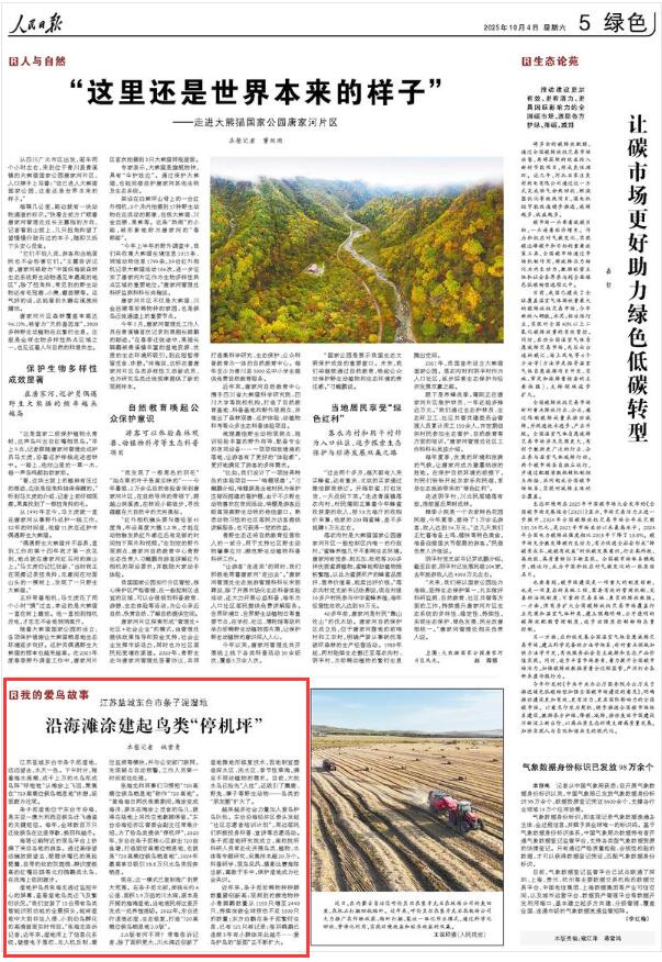 2025-10-04                            盐城东台市条子泥湿地：沿海滩涂建起鸟类“停机坪”                江苏盐城东台市条子泥湿地，远远望去，水天一色。下午时分，随着海水涨潮，成千上万的水鸟形成鸟阵“呼啦啦”从滩涂上飞回，聚集在“720高潮位候鸟栖息地”休憩，场面蔚为壮观。条子泥湿地位于东台市沿海，是东亚—澳大利西亚候鸟迁飞通道的关键枢纽。每年，全球数百万只迁徙候鸟在这里停歇、换羽和越冬。                    【详细】                 《 人民日报 》（ 2025年10月04日 05 版）