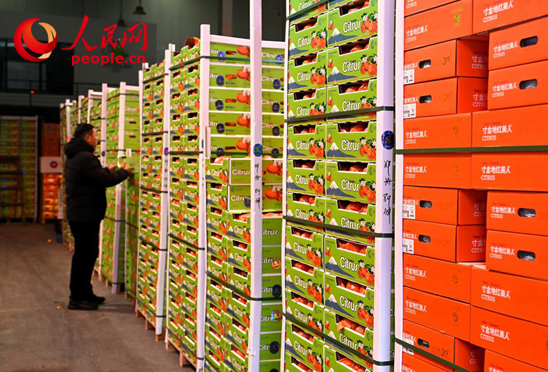 1月4日,客商在万邦农产品物流城挑选水果。人民网记者 王玉兴摄