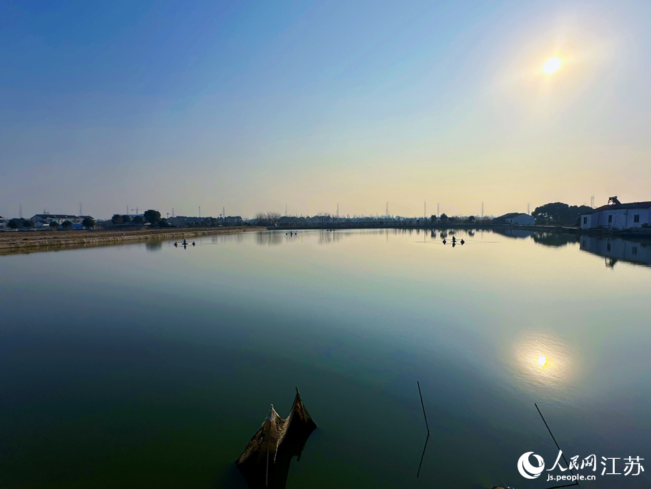 當地甘露青魚標准化養殖區。人民網記者 周夢嬌攝
