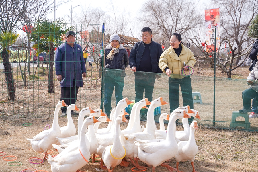 江蘇南京：“秦淮源頭”探年味兒