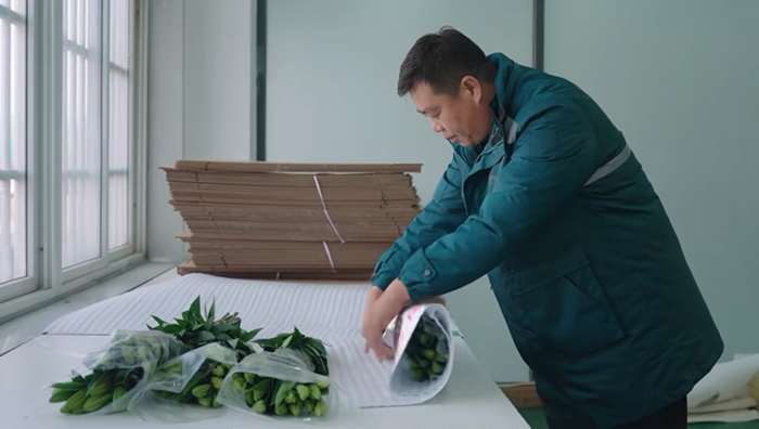 不朽情缘官网-app下载|狼队下载官网|