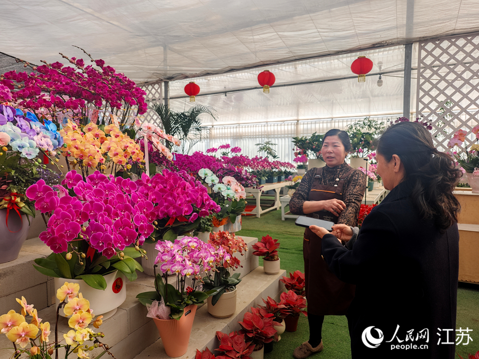 工作人員正為顧客介紹蝴蝶蘭品種。