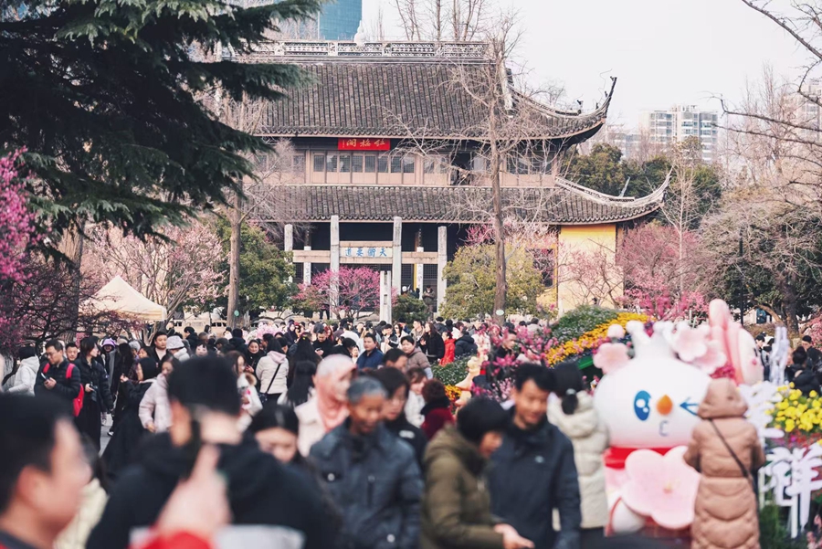 天宁胜境梅花游园活动。常州市委网信办供图