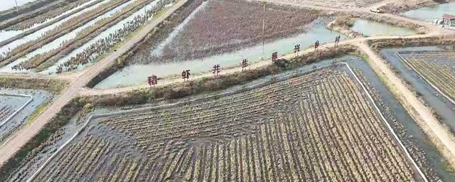 盱眙小龍蝦“打飛的”闖市場如何讓北方消費者在寒冬臘月也能吃到鮮活的正宗盱眙小龍蝦？盱眙人給出了一個充滿想象力的答案——“打飛的”。