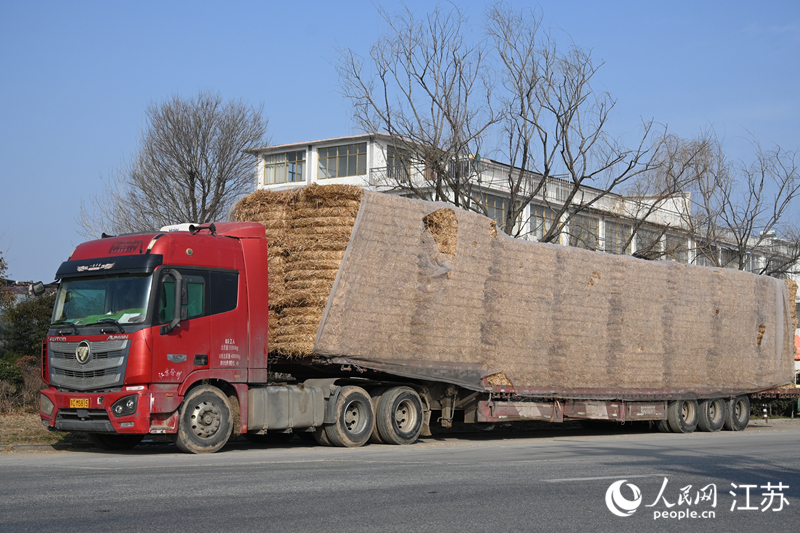 满载秸秆草捆的货车驶向本地菌菇企业。人民网记者  鞠峰摄