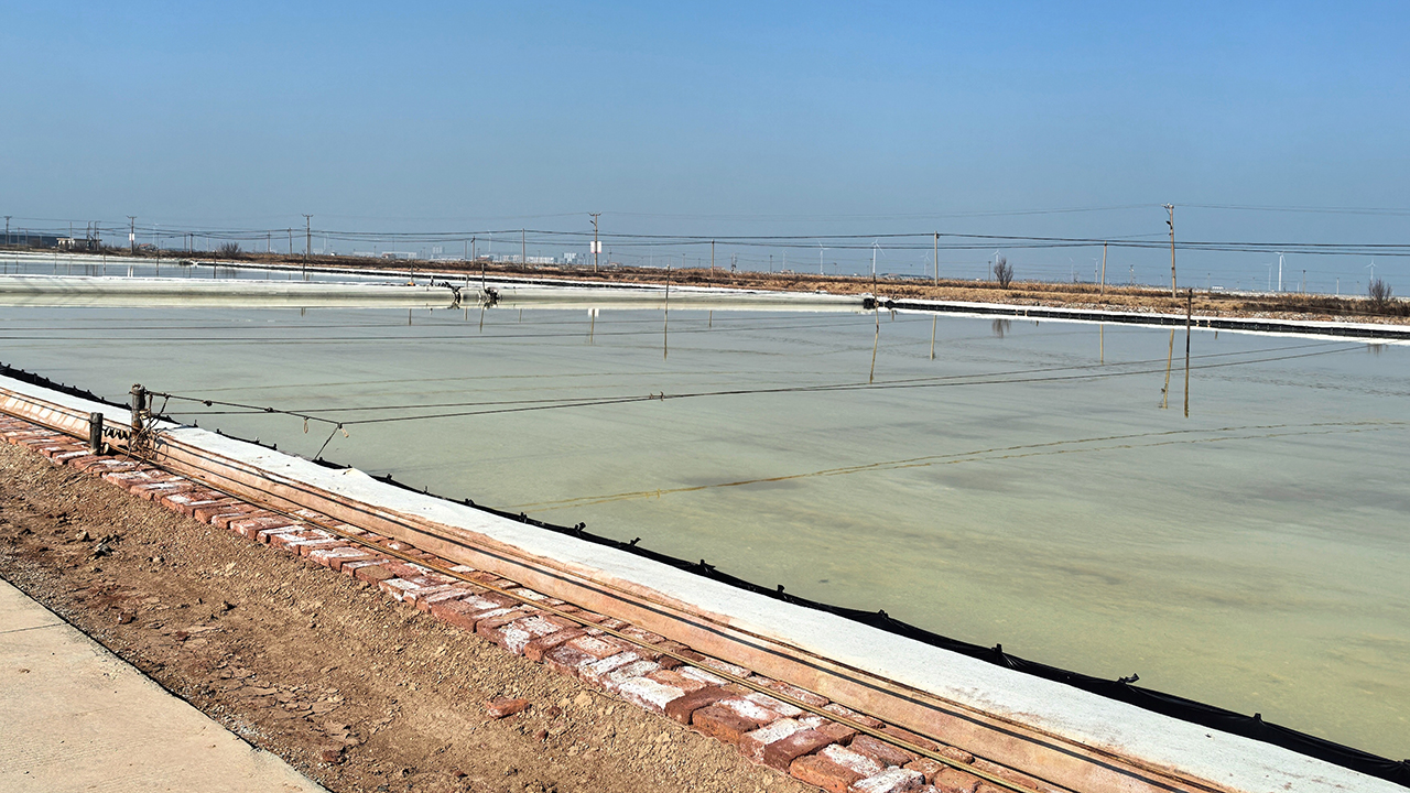 连云港灌西盐场的盐田。人民网 崔小倩摄