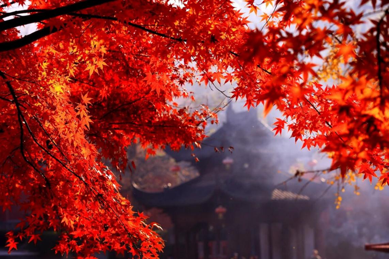 秋天的棲霞山。南京市棲霞山風景名勝區管理處供圖