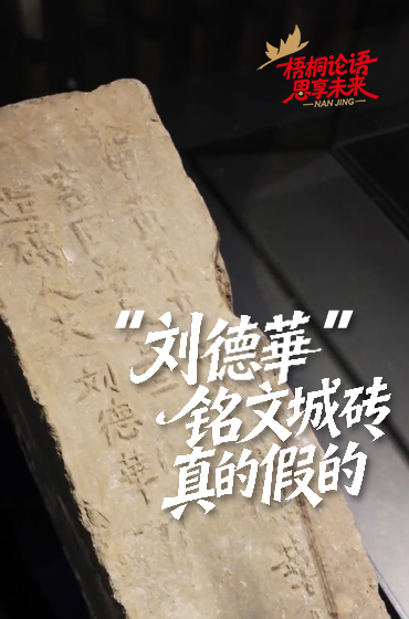 小孩哥把家鄉南京拍成爆款