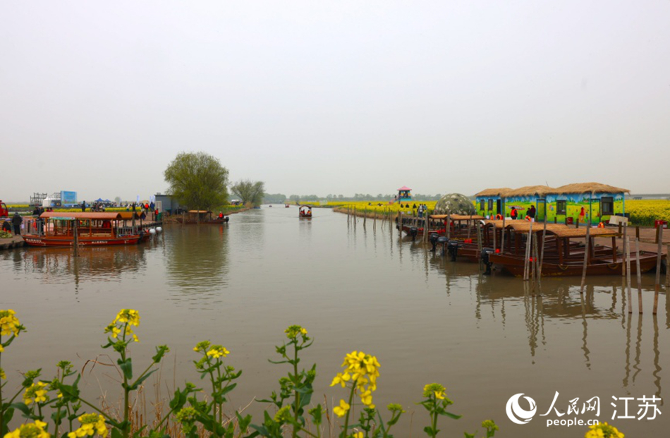 湖光與花海相映。