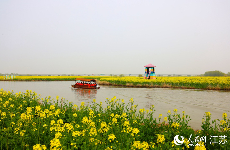 湖光與花海相映。