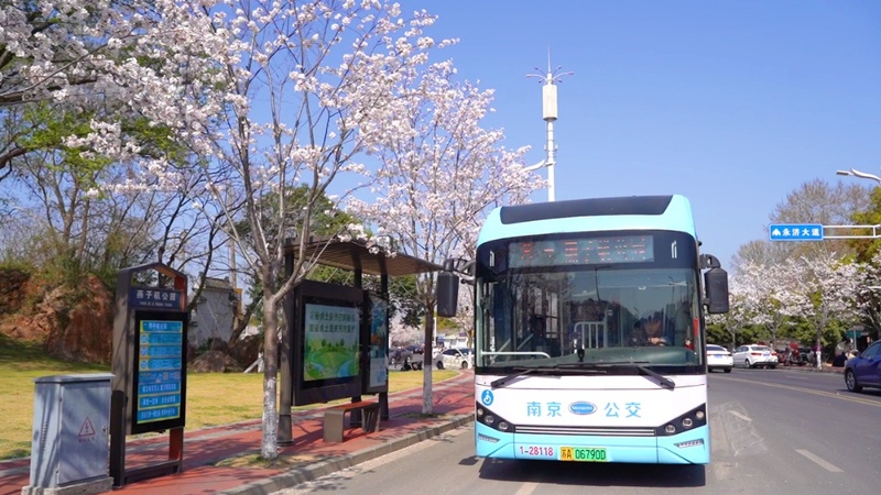 春假及清明期間南京9條旅游專線恢復運營