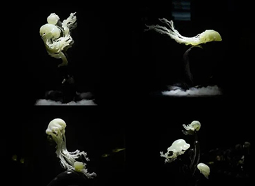岫玉雕刻《水生世界》系列作品
