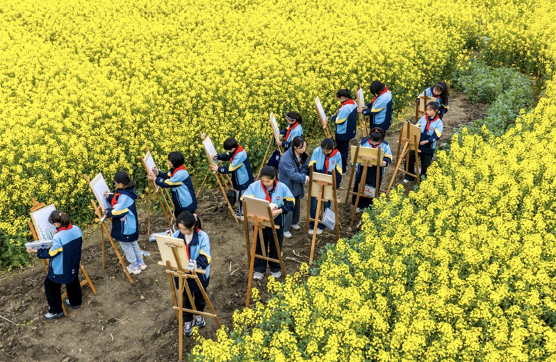 学生们在油菜花田绘画写生。周社根摄