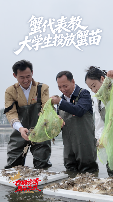 蟹代表