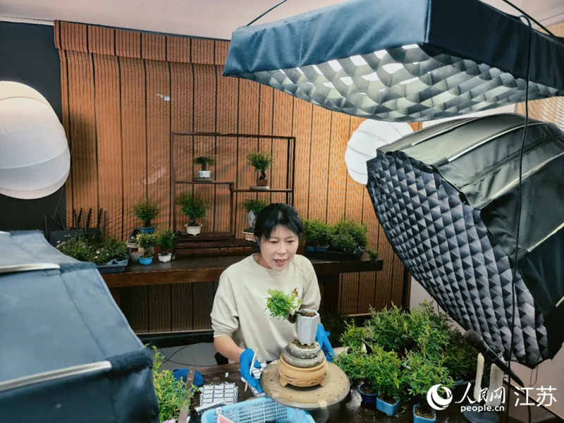 恆楊盆栽花卉合作社主播在直播帶貨。 人民網記者 鞠峰攝