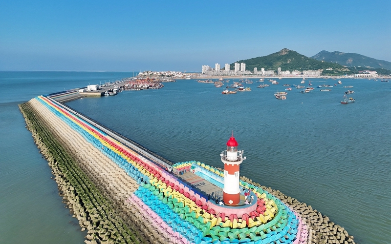 连云港那片海，海豹回来了
