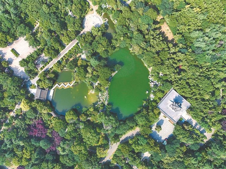 俯瞰徐州无名山公园。郑思宇摄