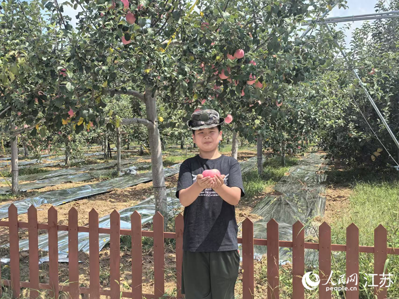 劉秉宸背后，是阿寺村的蘋果園。人民網 崔小倩攝