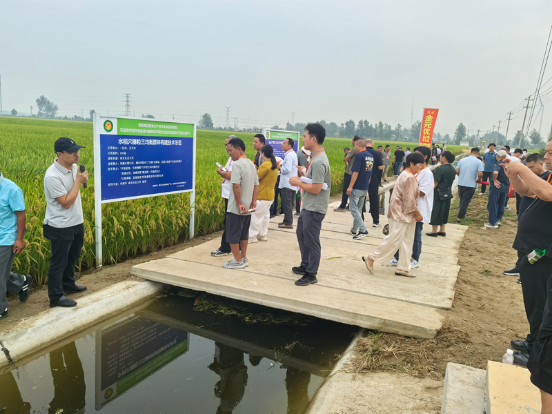 觀摩現場。睢寧縣委宣傳部供圖