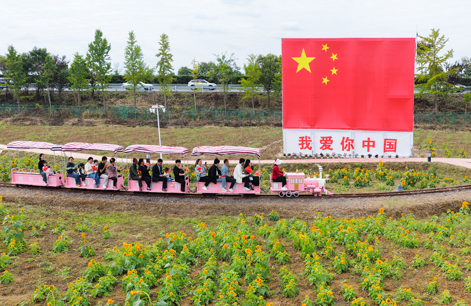 黃花塘鎮向陽花海游客體驗小火車。許昌銀攝