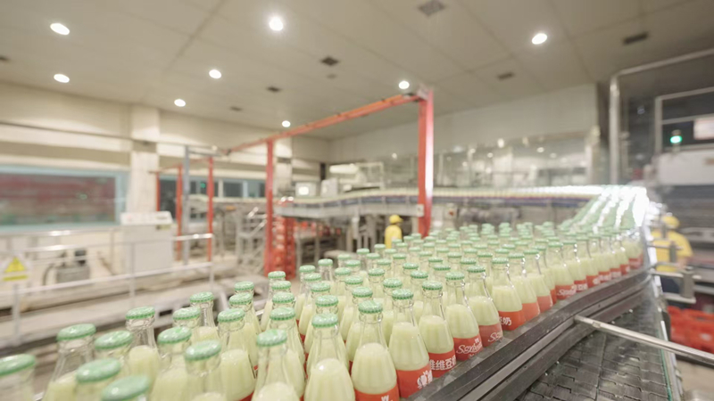 维维食品液态豆奶生产车间。受访者供图
